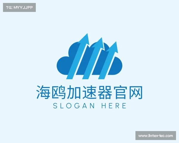 了解海鸥加速器官网